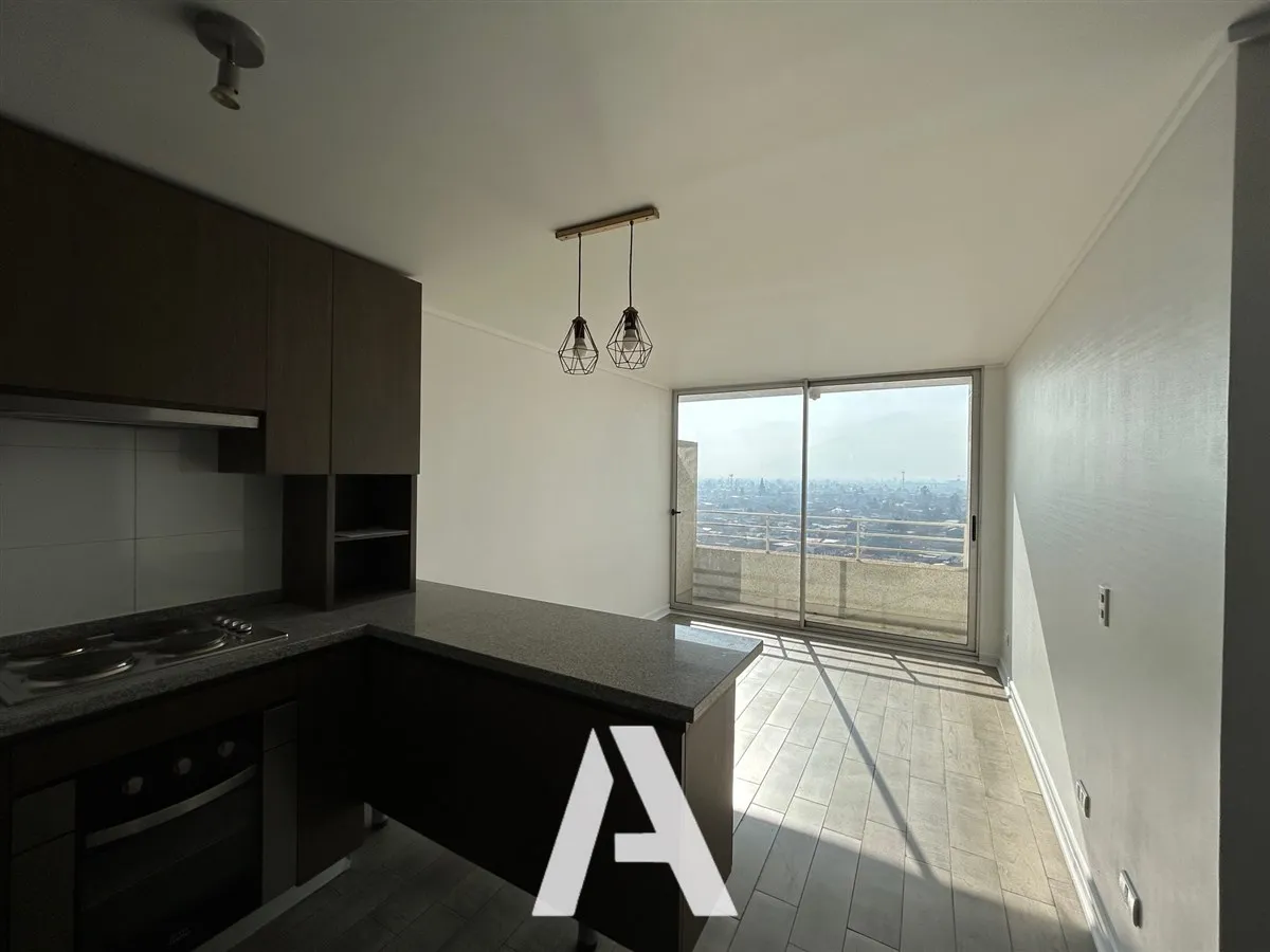 Imagen 3 de 21 de Departamento En Arriendo De 1d, 1b, Bodega, En Independencia