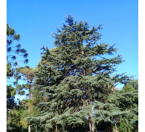 Oportunidad - Terreno A La Venta - Sobre Km26 De Ruta 6 - U$s199000