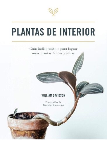 Plantas De Interior - Begonias, Orquídeas, Cactus, Helechos