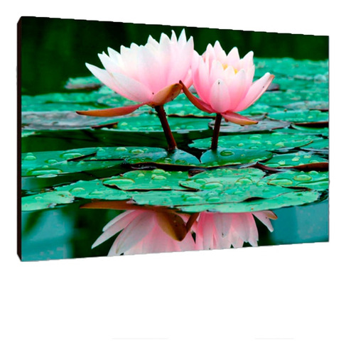 Cuadros Poster Flores Naturaleza S 15x20 (res (2))