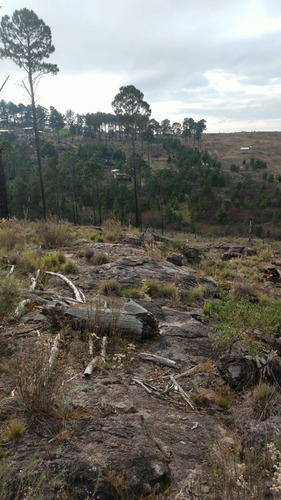 Imagen 9 de 12 de Preventa Financiado Tierras Del Cacique Yan Lotes 1200 M2 Villa Yacanto De Calamuchita - Córdoba