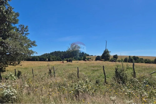 Venta Parcela En Condominio Rio Puntra Ancud