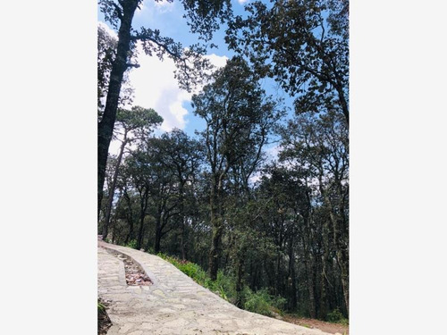Imagen 12 de 12 de Terreno En Venta Mineral Del Monte Centro