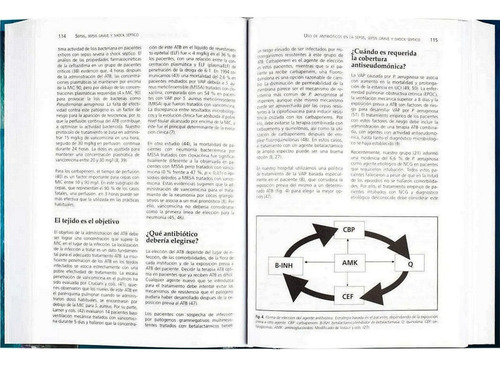 Temas De Medicina Critica Terapia Intensiva Unidad Coronaria