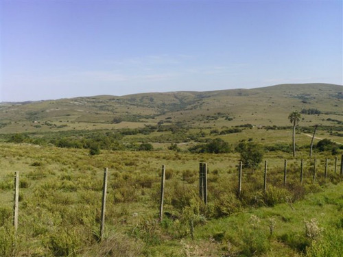 Campo En Maldonado - Los Caracoles- Ref: 31037