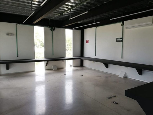 Imagen 7 de 15 de Oficinas En Renta El Faro