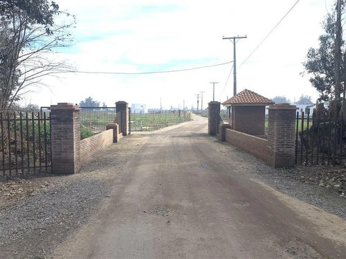Vendo Parcelas De 5000 M2 En El Mejor Sector De Talagante