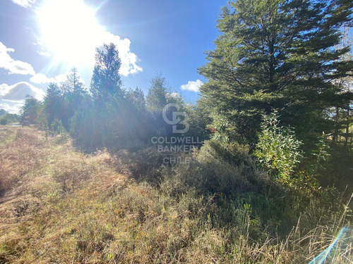 Hermosa Parcela Con Abundante Bosque Nativo