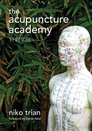 Libro Acupuncture Academy - Niko Trian
