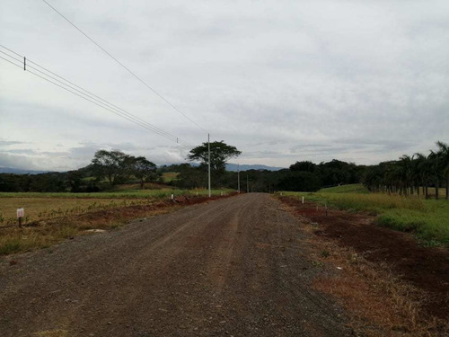 Imagen 12 de 14 de Lotes P/quintas Desde ¢24.5 Millones, 5.000 M2, San Mateo