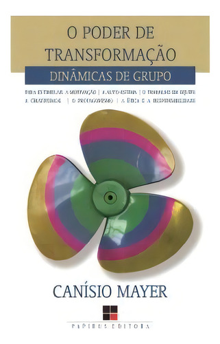 O Poder De Transformação, De Mayer, Canísio. Papirus Editora Em Português