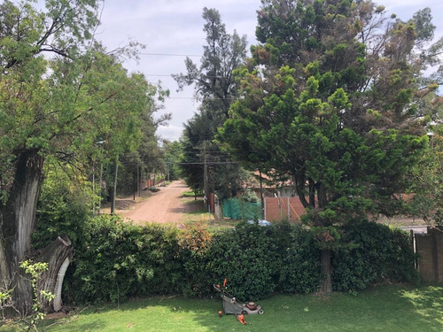 Imagen 9 de 29 de Quinta - Tortuguitas