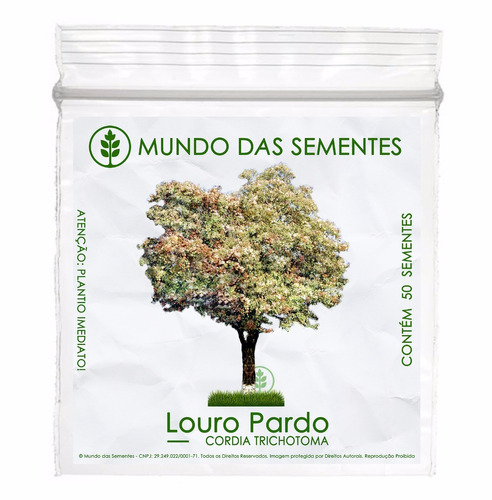 50 Sementes Louro Pardo Cordia Trichotoma + Frete Grátis