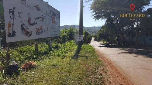 Imagem 7 de 11 de Área À Venda, 60000 M² Por R$ 7.800.000,00 - Centro - São Miguel Do Iguaçu/pr - Ar0003