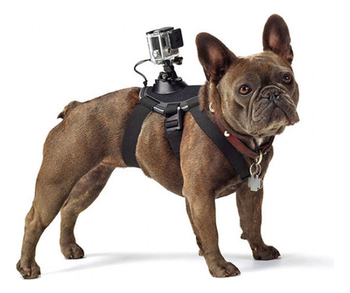 Arnes Para Perros Gopro Adogm-001 Fetch Dog Color Negro