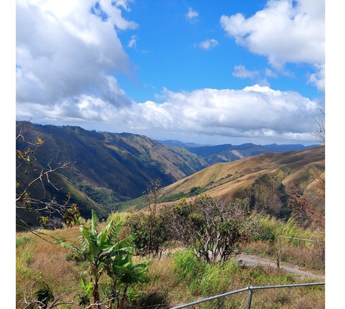 Imagen 2 de 21 de Best House Vende Terreno En El Jarillo Cerca De Quebrada Honda