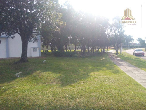 Imagem 10 de 29 de Vendo Terreno Central No Ilhas Park Eldorado - Te0228
