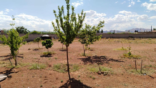 Terreno Agrícola En Venta En Valle De Chihuahua, Chihuahua, Chihuahua