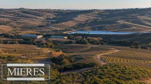 Venta De 30has En Frente A Bodega Garzon, Corredor Turístico (ref: Atm-7646)