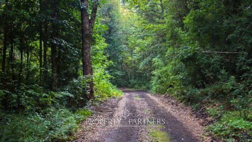 Lindo Terreno En Reserva Biológica Huilo Huilo