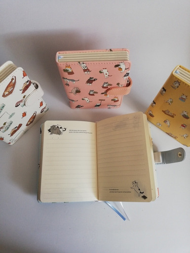 Agenda Planeadora Gato