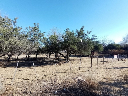 Imagen 1 de 5 de T42 - Terreno De 1600 M2 En Barrio Progreso En Mina Clavero