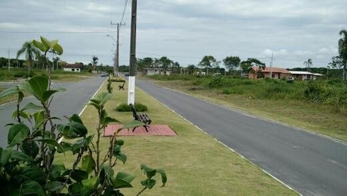 Imagem 1 de 25 de Terreno No Praia Do Ervino Com 0 Quartos Para Venda, 600 M² - Ft713