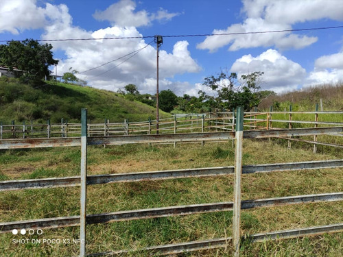 Imagen 11 de 28 de Venta De Hermosa Finca En El Estado Lara