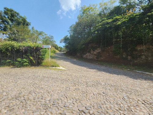 Venta Lote Glorieta Iii Muy Cerca Del Acceso Y De Las Amenidades Sobre Boulevard Fracc Rancho San Diego Ixtapan De La Sal Edomex