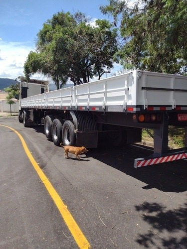 Carreta Grade Baixa 13.5 Mts