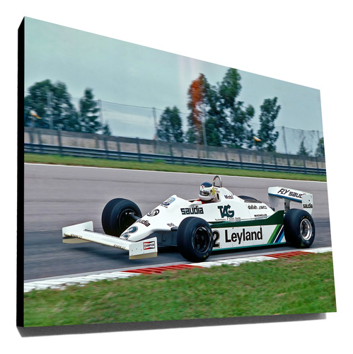 Cuadros Carlos Reutemann Automovilismo Formula 1 - 40x30 Cm