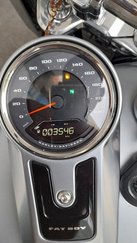 Harley Davidson Fat Boy 114 Flfbs