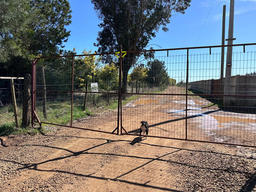 Oportunidad Parcela 5.000 Mts (93879)