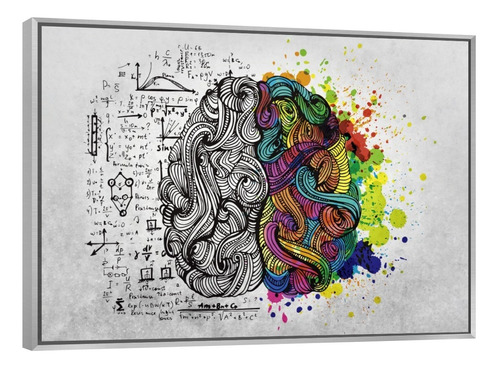 Cuadro Canvas Marco Flotante Esquema Cerebro Colores 90x60