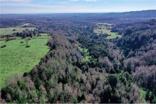 Imagen 6 de 18 de Proyecto Ecológicamente Responsable-ecosustentable