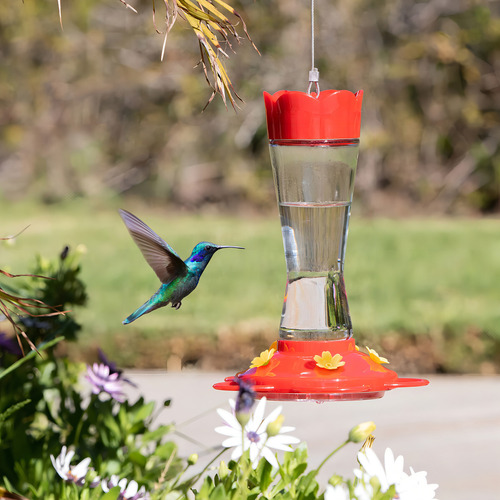Mekkapro Comedero Para Colibríes Para Exteriores Hecho De . Color Rojo