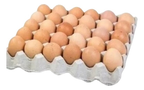 15 Huevos Fértiles 