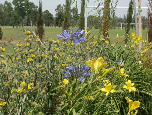 Imagen 13 de 14 de Lote De 840 Metros En Club De Campo Santa Rita