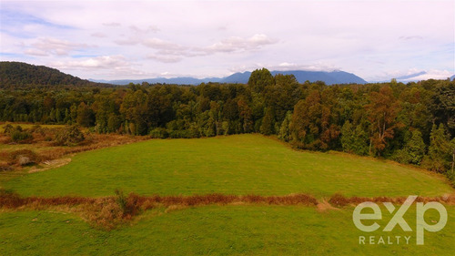 Vendo Campo De 15 Hectáreas A Siete Minutos De Panguipulli