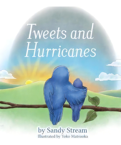 Tweets And Hurricanes, De Sandy Stream. Editorial Sandy Stream Publishing, Tapa Blanda En Inglés