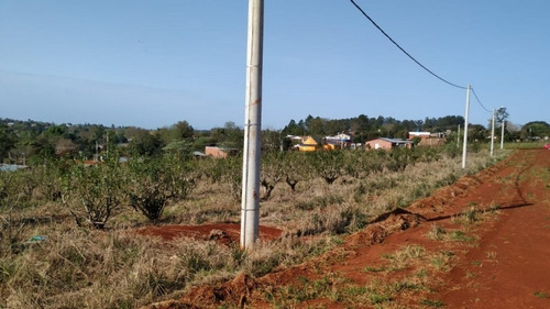 Imagen 7 de 11 de Loteo Tierra Colorada Jardin America Misiones