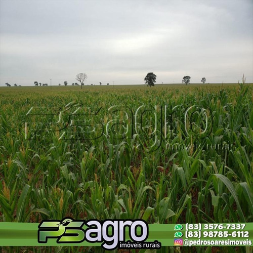 Imagem 11 de 16 de Fazenda À Venda, 350 Alqueires Por R$ 66.350.000 - Centro - Iepê/sp - Fa0171