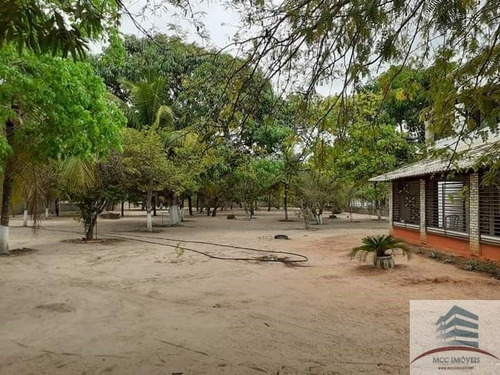 Imagem 23 de 25 de Granja A Venda Em Macaíba