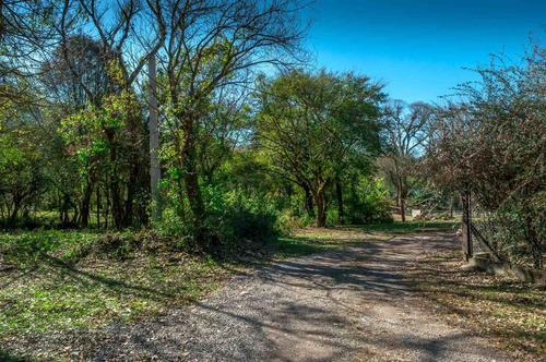 Imagen 3 de 12 de Terreno + Venta + Castellanos + 1.693 M2