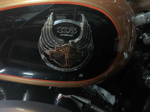 Imagen 6 de 6 de Harley Davidson - Sportster 1200xl 105th Anniversary Edition