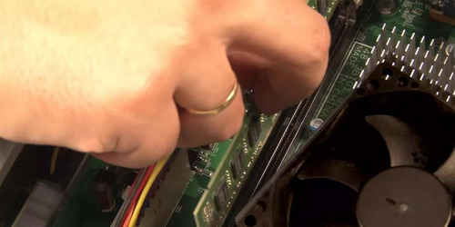 Memória Ram Yongxinsheng Ddr5 1x32gb Verde 5200mhz Desktop
