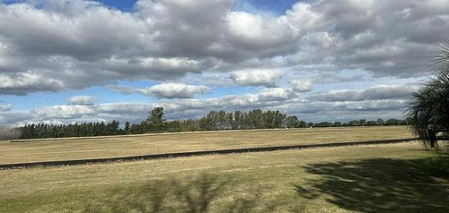 Venta Campo Con Caballerizas | Vco Propiedades