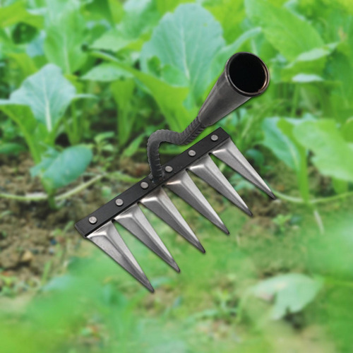 Herramienta De De Jardinería Para La Herramienta 6 Dientes