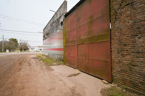 Imagen 8 de 30 de Venta Galpón Industrial Sobre Ruta 11