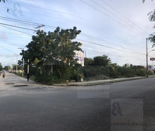 Rento Terreno En Avenida En Fracc. Caucel, Mérida, Yucatán. 